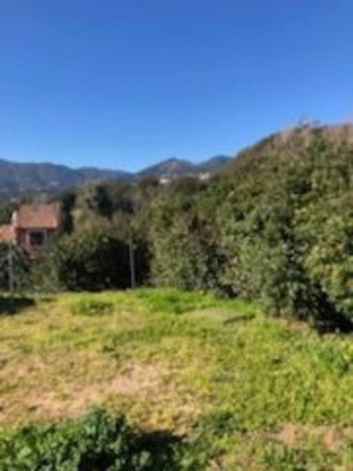 Villa En Corse Du Sud Entre Mer Et Montagne Peri Εξωτερικό φωτογραφία